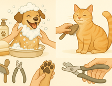 Baño, cepillado y cuidado de uñas: Guía completa de higiene para tu mascota