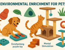 Enriquecimiento ambiental: Estimulación mental y física para tu mascota