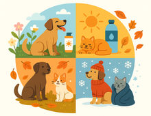 Prevención según la estación: Cuida a tu mascota todo el año