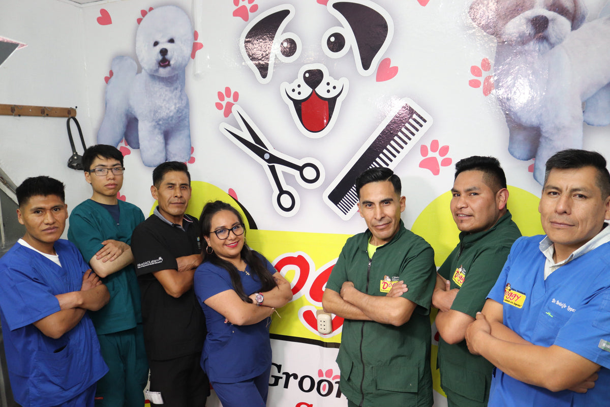 Doggy Veterinaria – Larapa