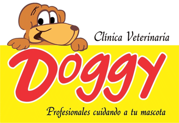 Doggy Veterinaria